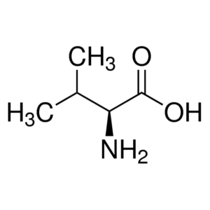 Valine (CH3)2CHCH(NH2)CO2H