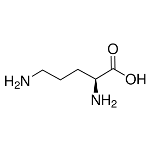 Ornithine C5H12N2O2