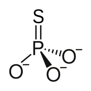 Thiophosphate-ion
