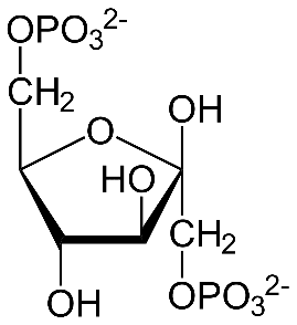 Fructose-1-6-PO3x2