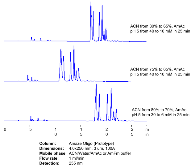 HPLC Analysis of Ribonucleic Acid Type VI from Torula Yeast on Amaze Oligo Mixed-Mode Column