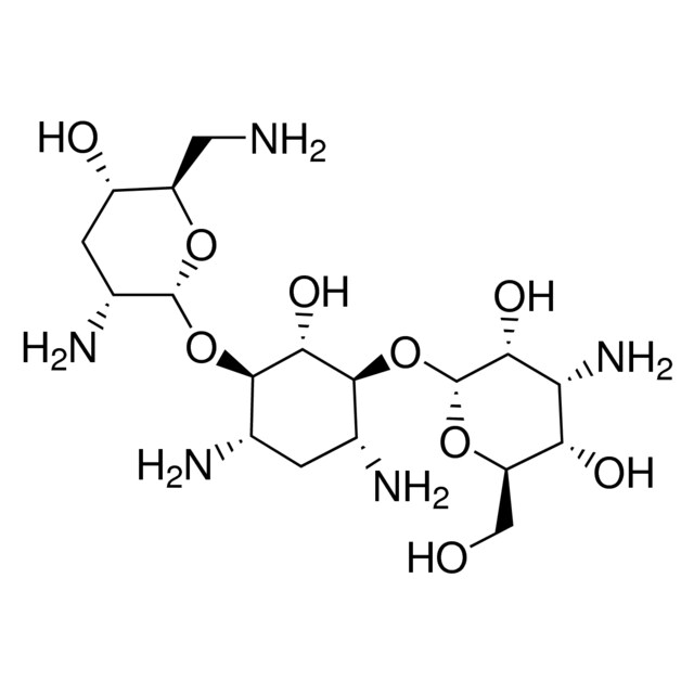 HPLC Methods for analysis of Tobramycin HELIX Chromatography