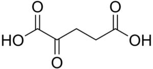 Ketoglutaric acid