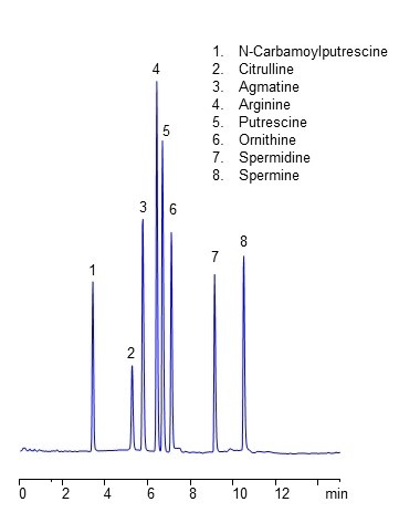 HPLC Separation of Compounds in Arginine-Polyamine Metabolic Pathway