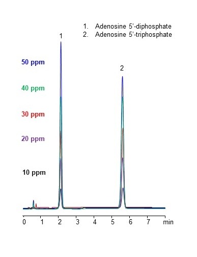 Quantitative UV HPLC Analysis of Adenosine Diphosphate and Adenosine Triphosphate on Amaze HA Mixed-Mode Column