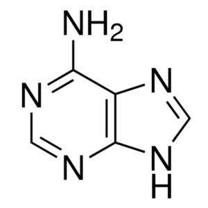Adenine C5H5N5